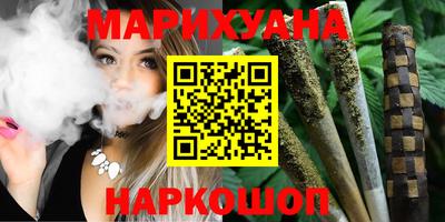 крисы Будённовск