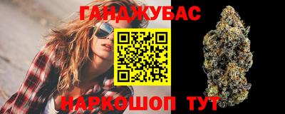 крисы Будённовск