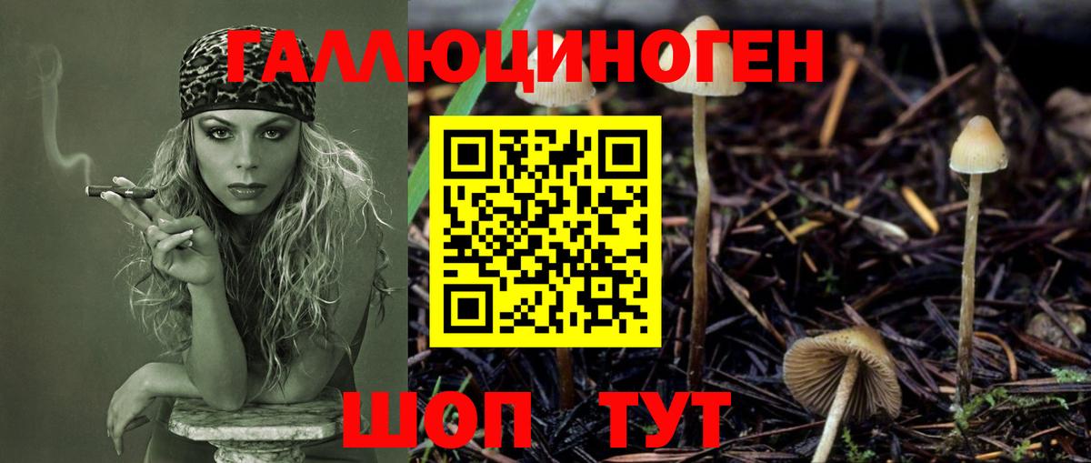 Коркино  дарнет шоп  Вход с VPN  Псилоцибиновые грибы Magic Shrooms 